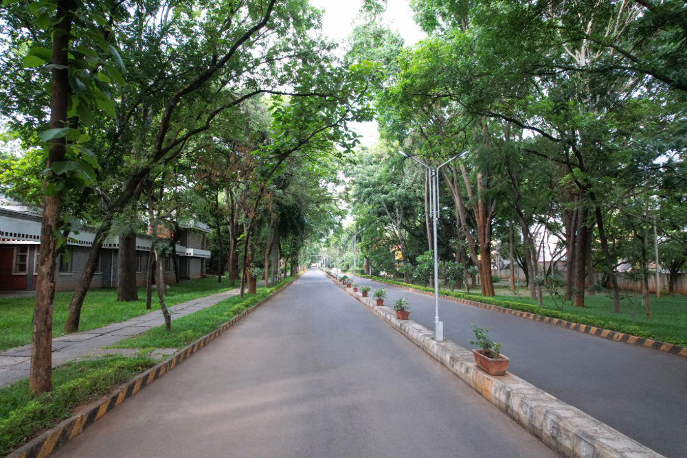 Adobe Express - file (1)