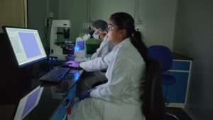 WhatsApp Image 2025-04-24 at 3.31.22 PM (1)