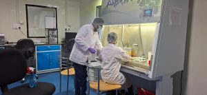 WhatsApp Image 2025-04-24 at 3.38.21 PM