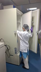 WhatsApp Image 2025-04-24 at 3.43.59 PM - Copy